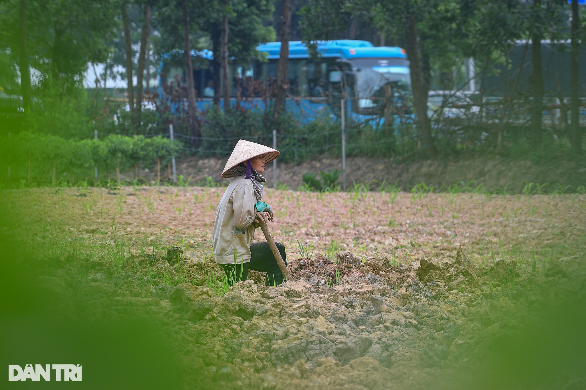 Đông Anh có gì trước ngày lên quận? - 14