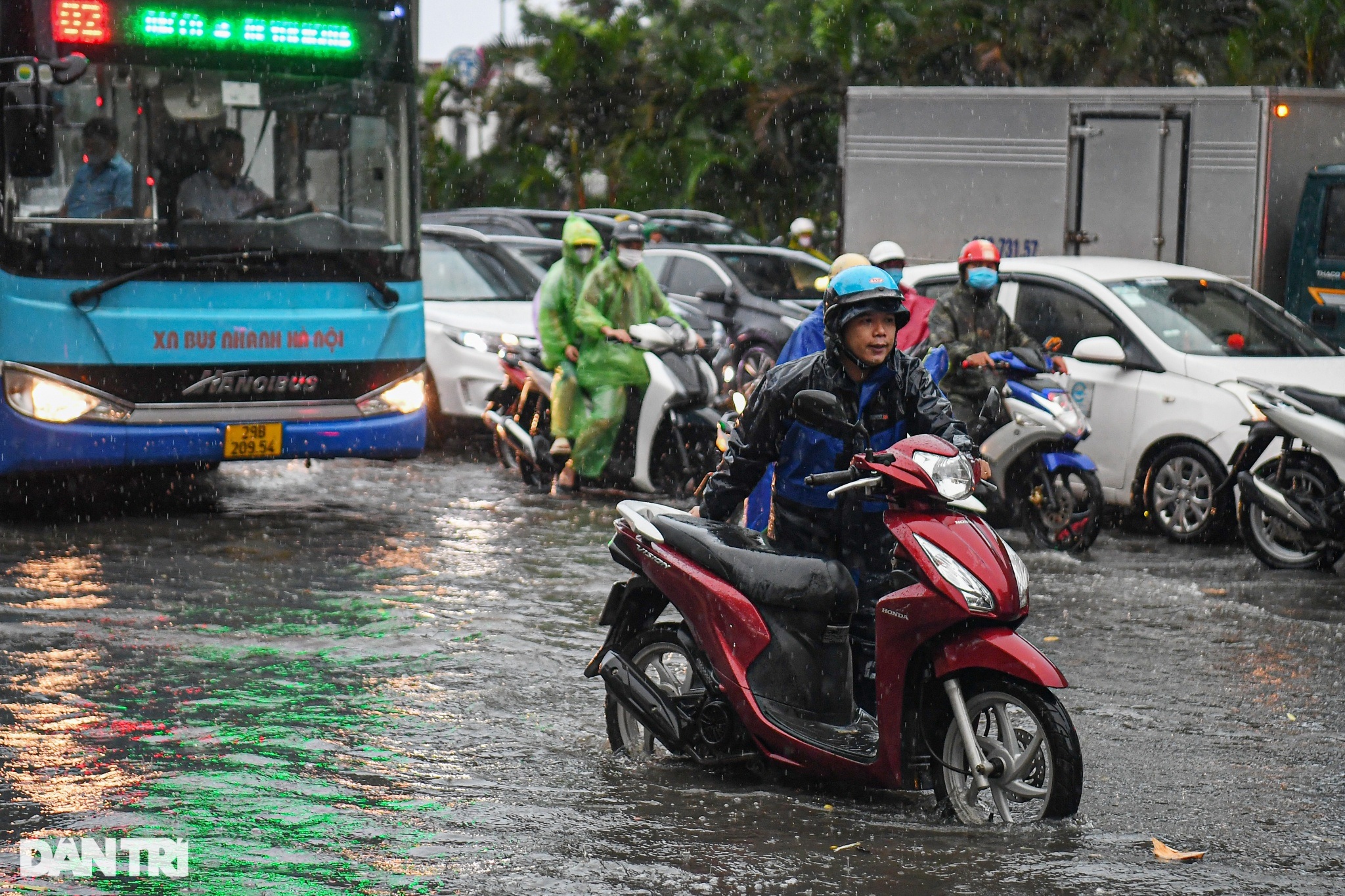 Hà Nội: Cây đổ, mưa ngập nhiều tuyến đường, người dân bì bõm tìm lối đi - 8