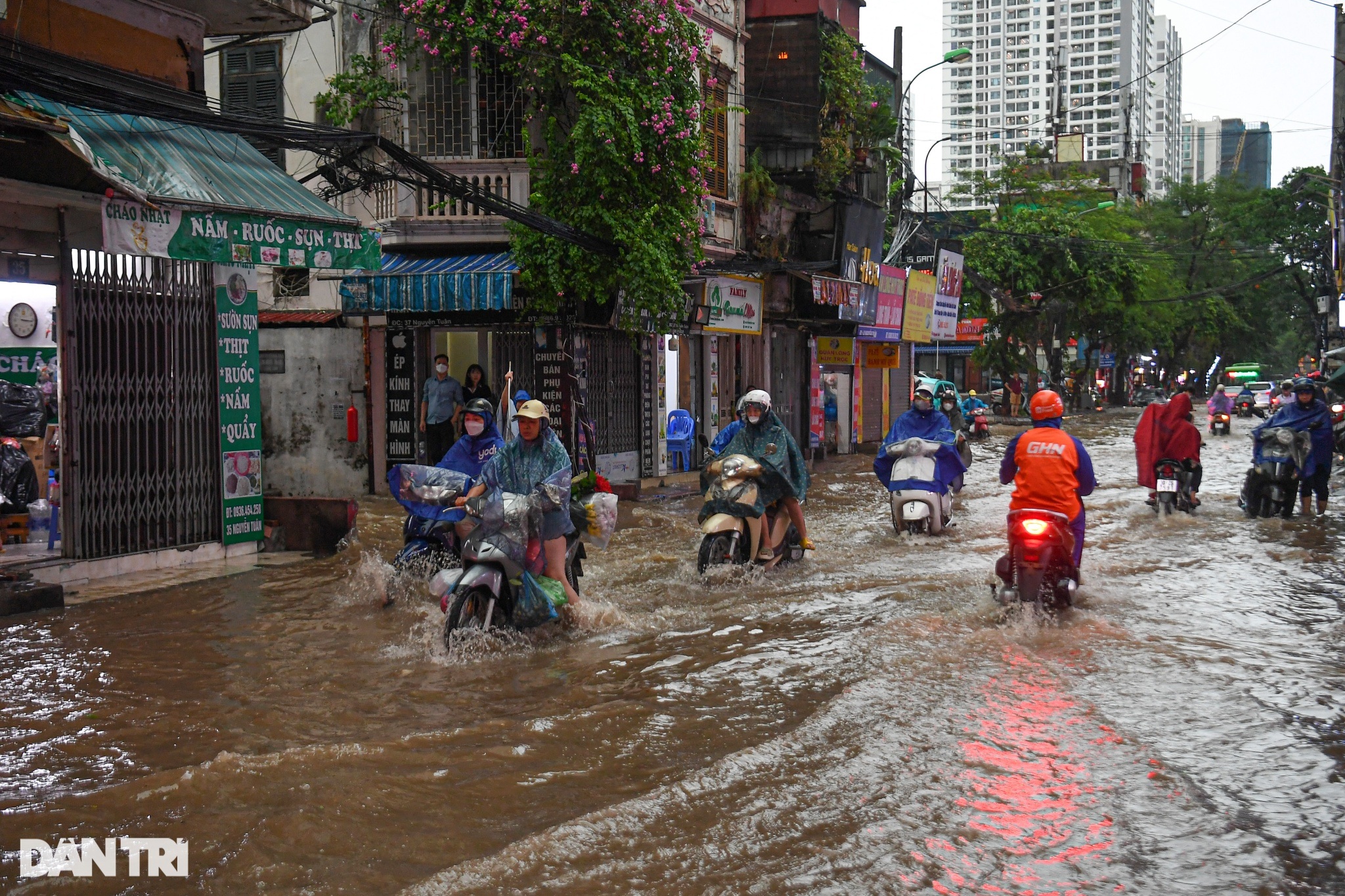 Hà Nội: Cây đổ, mưa ngập nhiều tuyến đường, người dân bì bõm tìm lối đi - 13