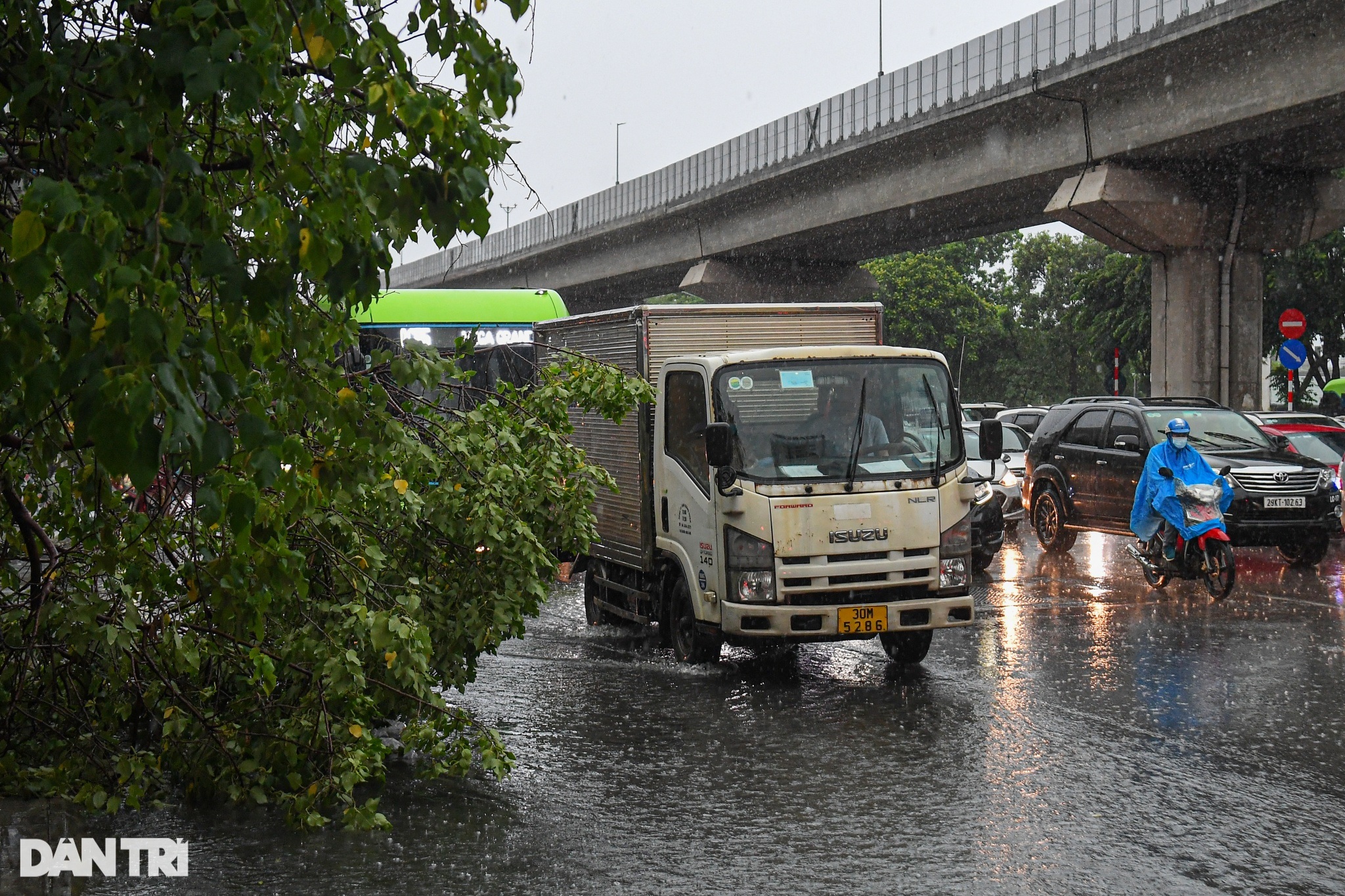 Hà Nội: Cây đổ, mưa ngập nhiều tuyến đường, người dân bì bõm tìm lối đi - 3