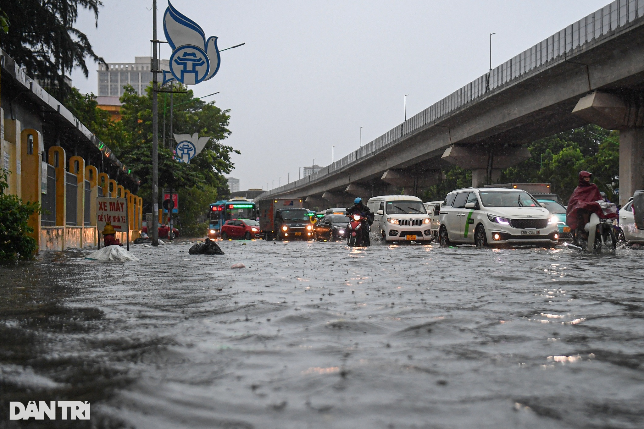 Hà Nội: Cây đổ, mưa ngập nhiều tuyến đường, người dân bì bõm tìm lối đi - 5