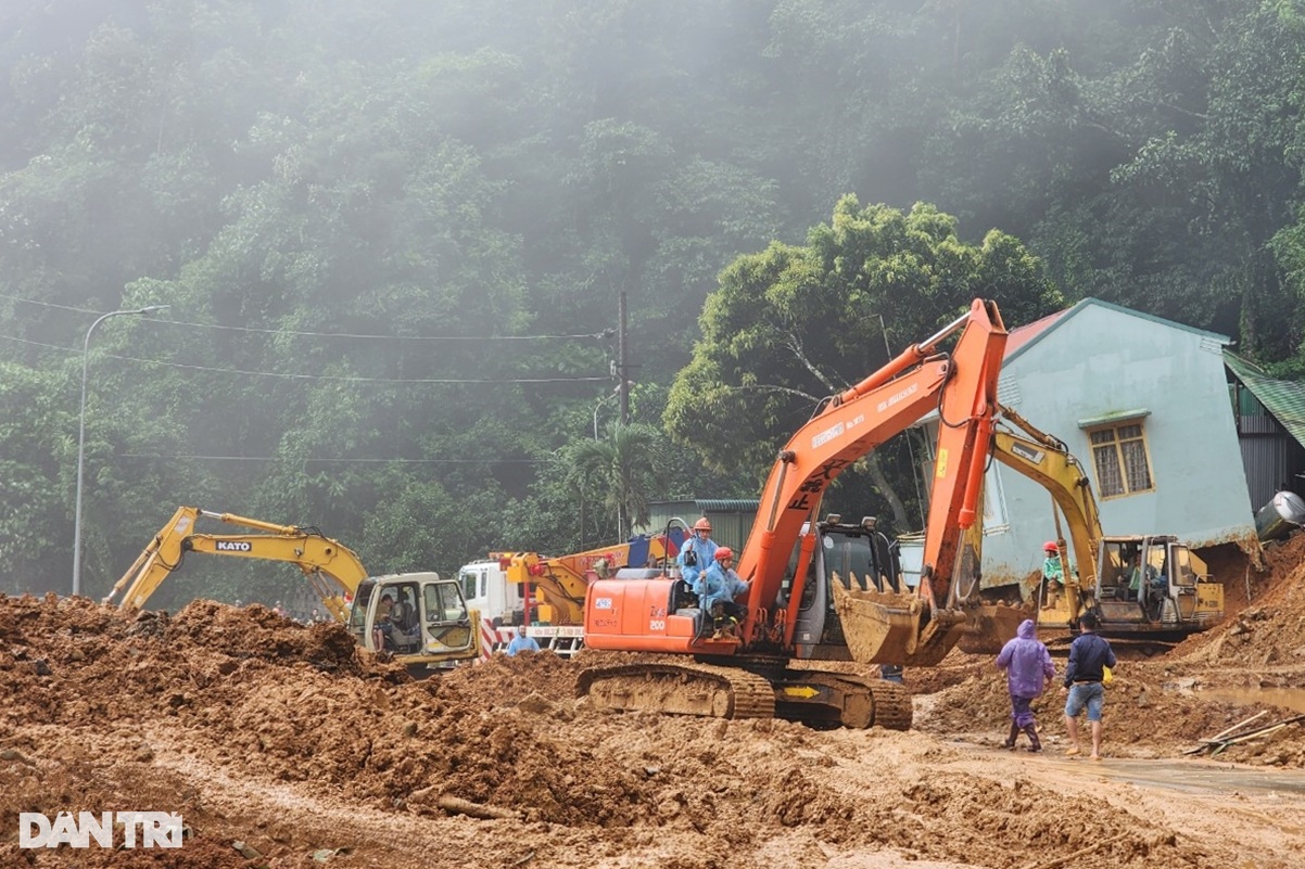 Sạt lở đèo Bảo Lộc: Địa phương nói gì về vườn sầu riêng giữa rừng? - 3