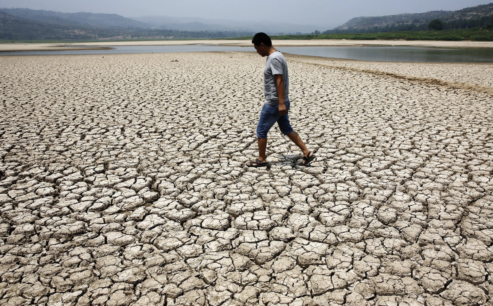 Cấm xuất khẩu gạo: Giá gạo tăng cao, người dân nhiều nước đổ xô đi tích trữ - 3 Cấm xuất khẩu gạo: Giá gạo tăng cao, người dân nhiều nước đổ xô đi tích trữ - 3