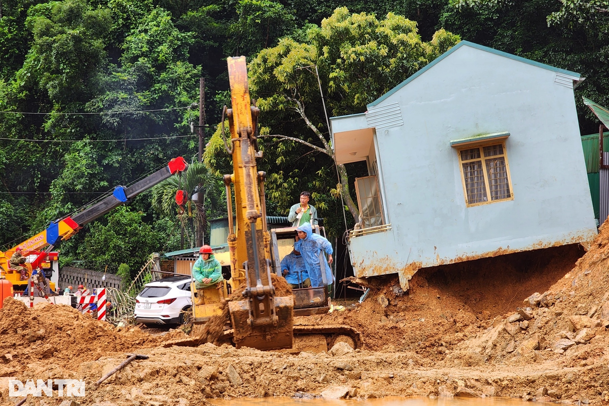 Vụ sạt lở đèo Bảo Lộc: Một phần vườn sầu riêng là đất rừng - 3