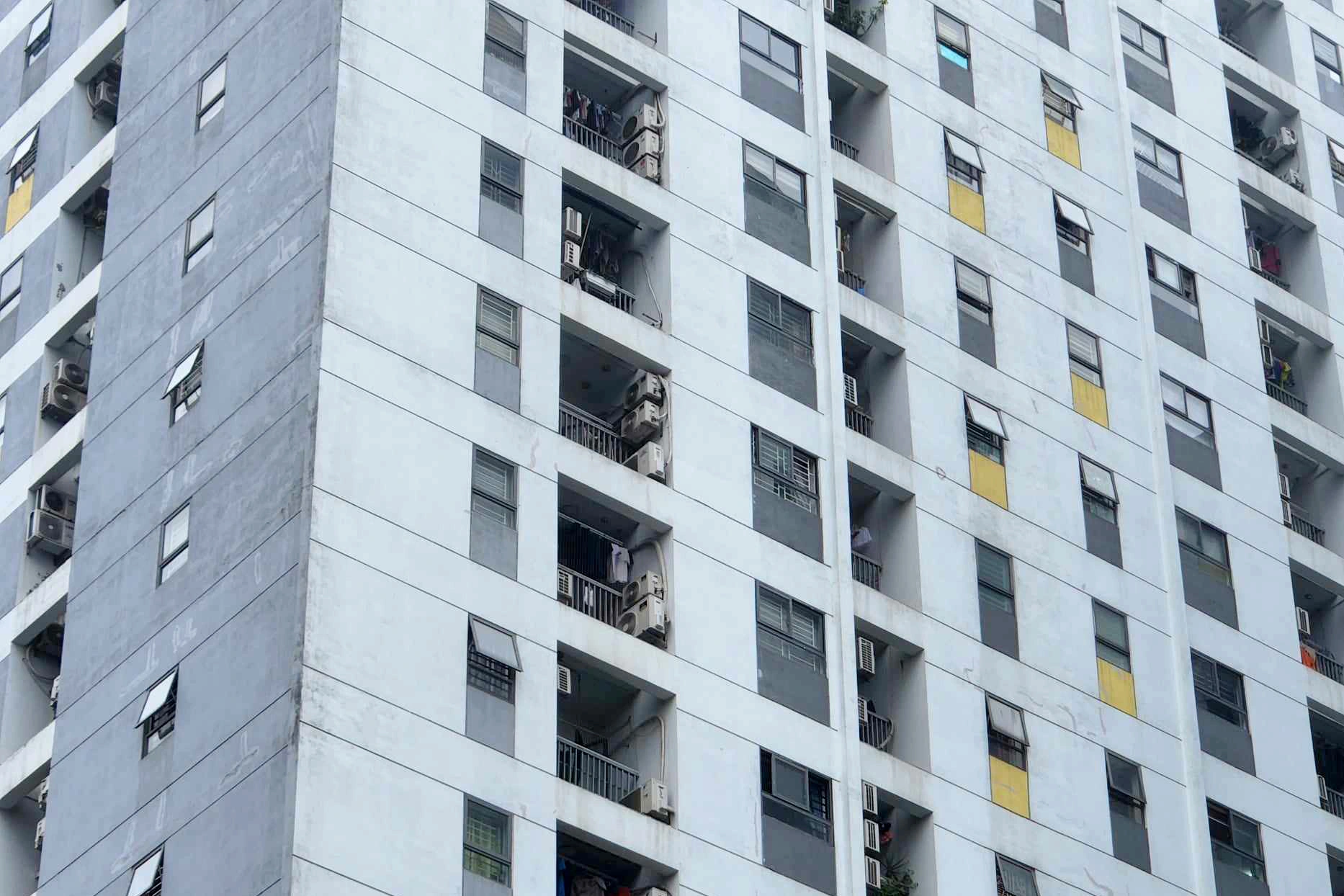 40647663010502944928822231732796372183180493n-crop-1702347305952.jpeg