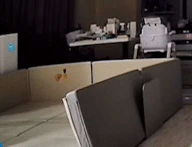 sac-du-phong-1709446152260.gif