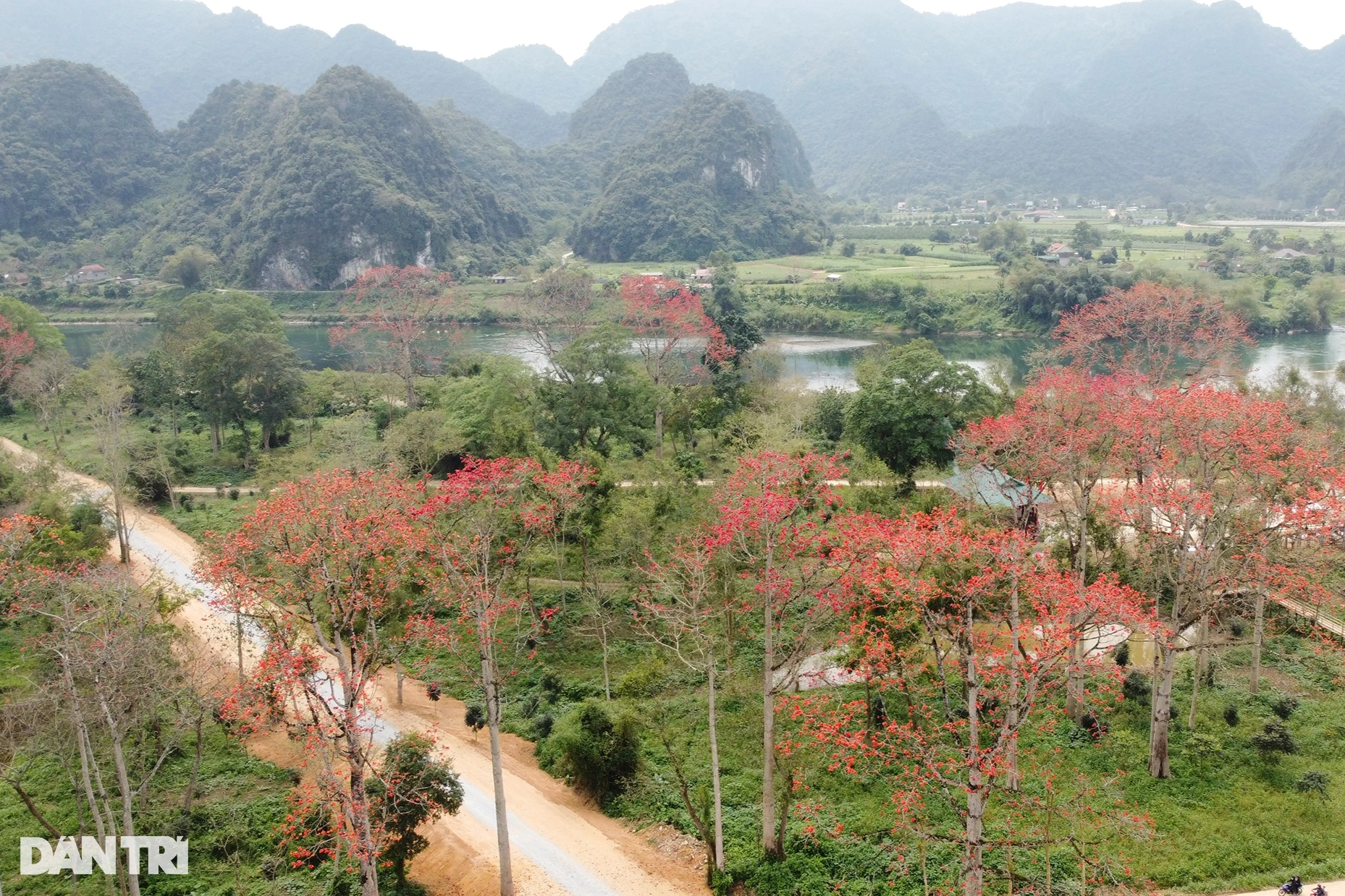 ngam-hoa-gao-do-ruc-troi-o-le-hoi-lan-dau-tien-to-chuc-tai-nghe-an-1-edited-1710491995679.jpeg