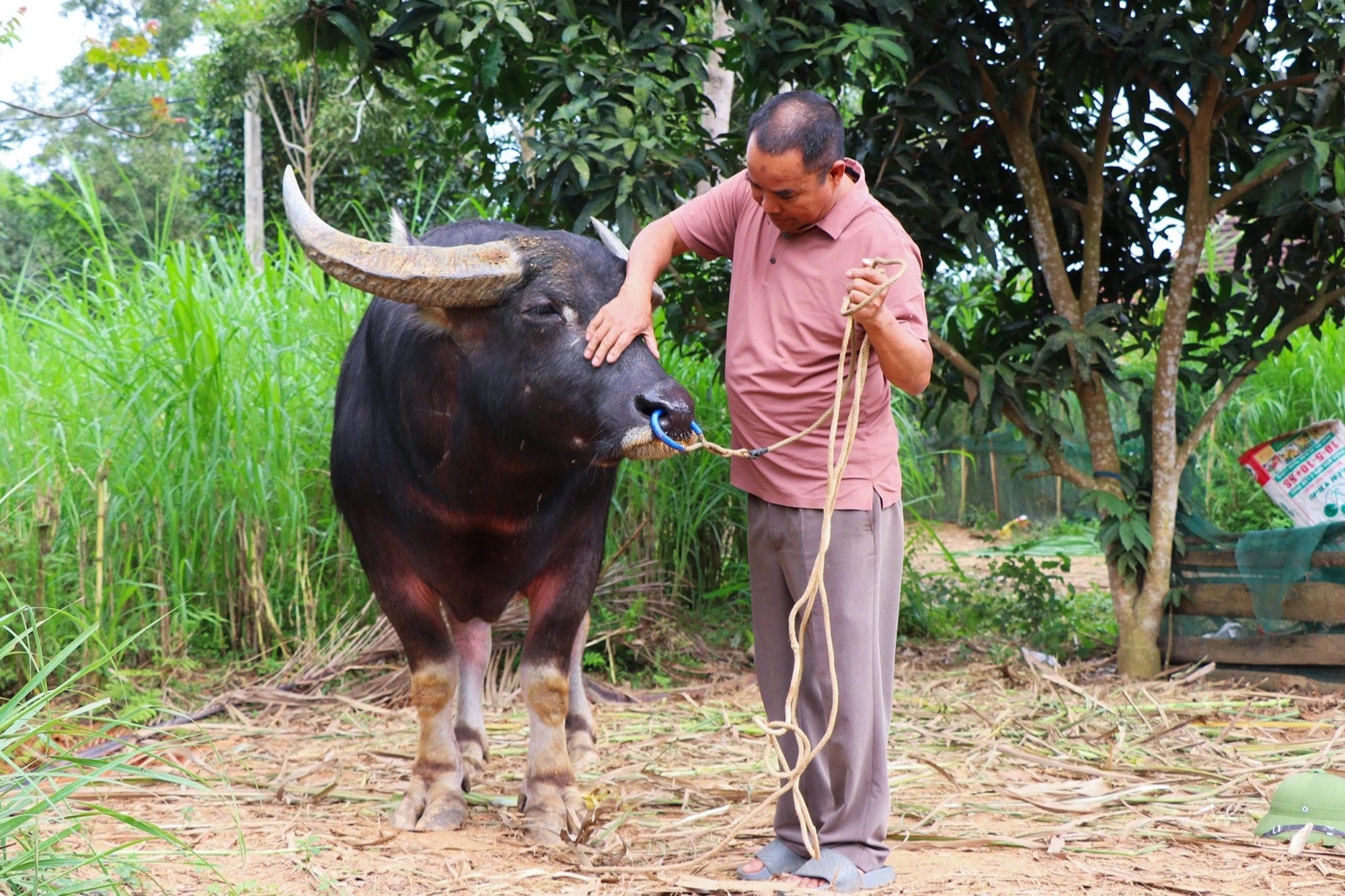 ong-hoang-ba-thongtrau-choihuan-luyennghe-anhoang-lam-6-edited-1710493756974.jpeg