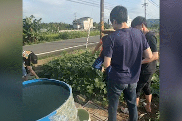lao-dong-vietnvcc-1719051350215.gif