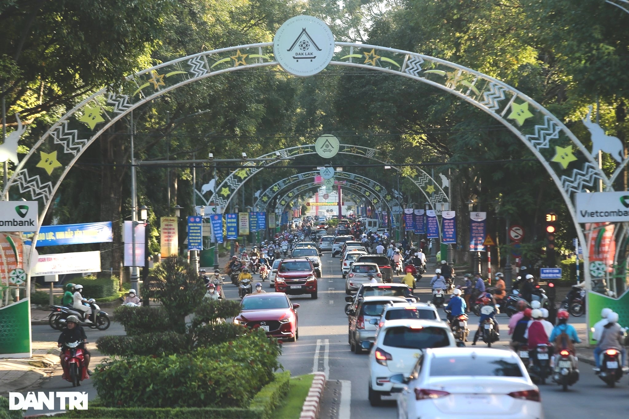 giau-nho-cay-ty-do-nong-dan-mot-huyen-sam-hon-1-edited-1721277675912.jpeg