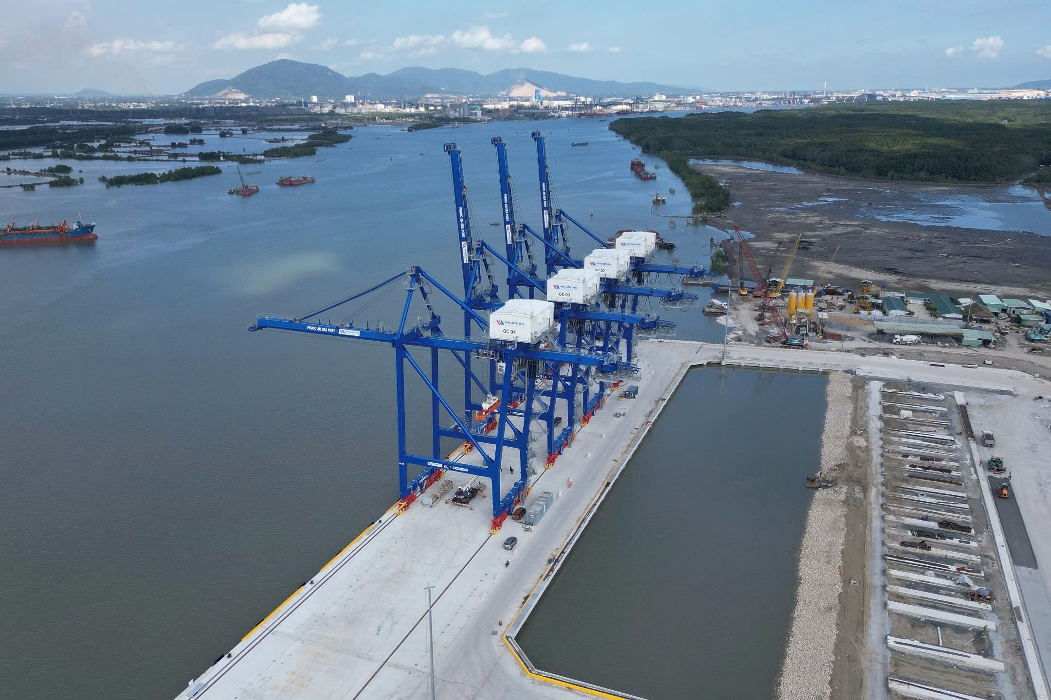 Xác minh vụ san lấp trái phép rừng ngập mặn khu vực cảng lớn nhất Đồng Nai