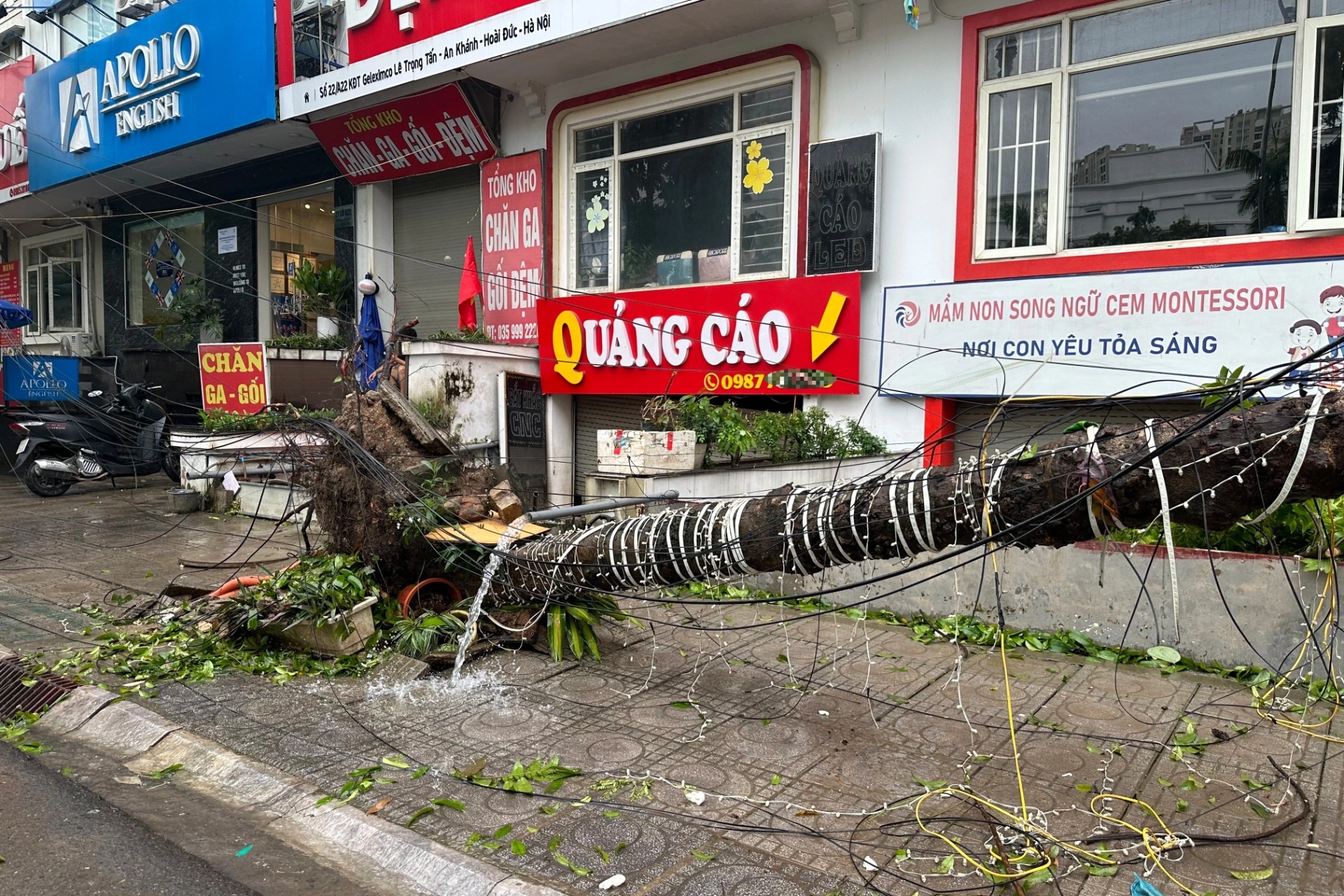 Cảnh hoang tàn sau bão Yagi tại các khu đô thị ở Hà Nội