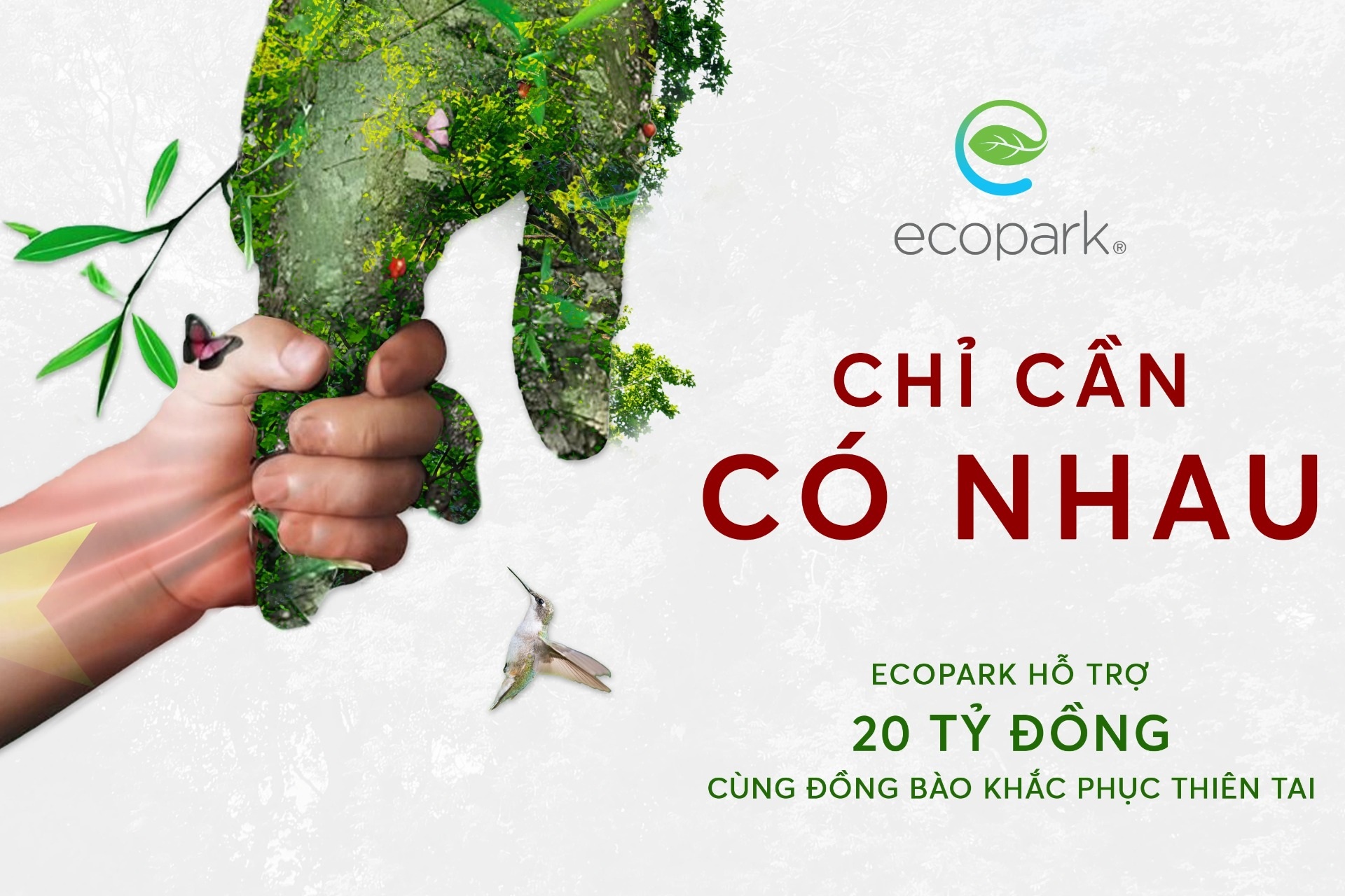 Nhà sáng lập Ecopark ủng hộ 20 tỷ đồng cho đồng bào vùng bão lũ