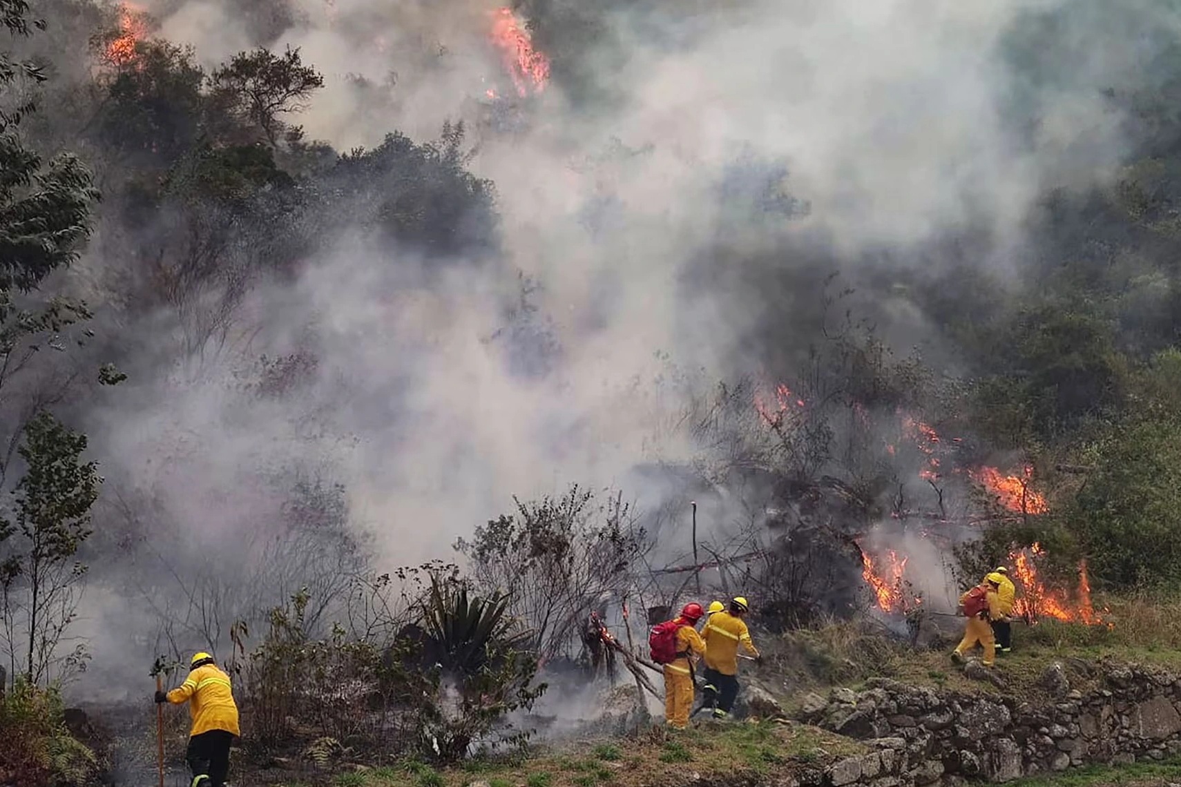 Peru ban bố tình trạng khẩn cấp do cháy rừng dữ dội