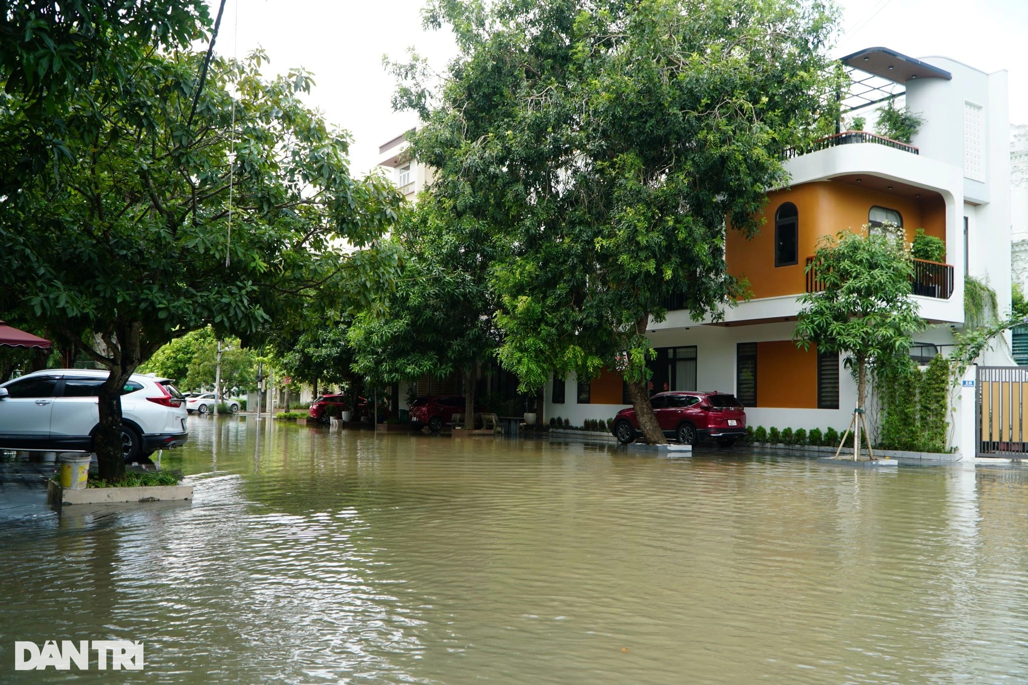 "Phố nhà giàu" xứ Thanh ngập sâu sau mưa lớn