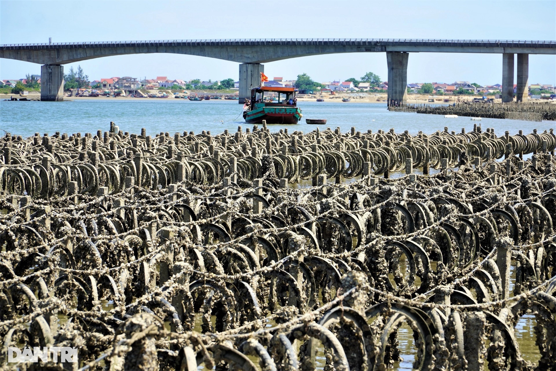 "Trận địa bẫy cọc" trên sông Rác: Vì sao chưa thể xử lý?