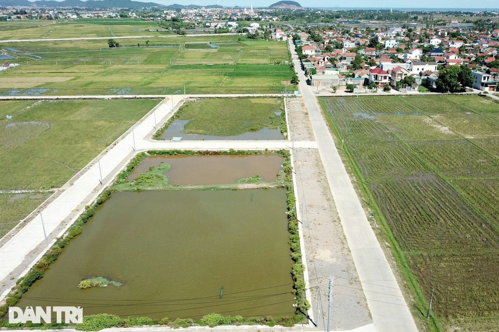 Vụ em trai phó chủ tịch huyện trúng đấu giá 23 lô đất: Đã đấu giá lại