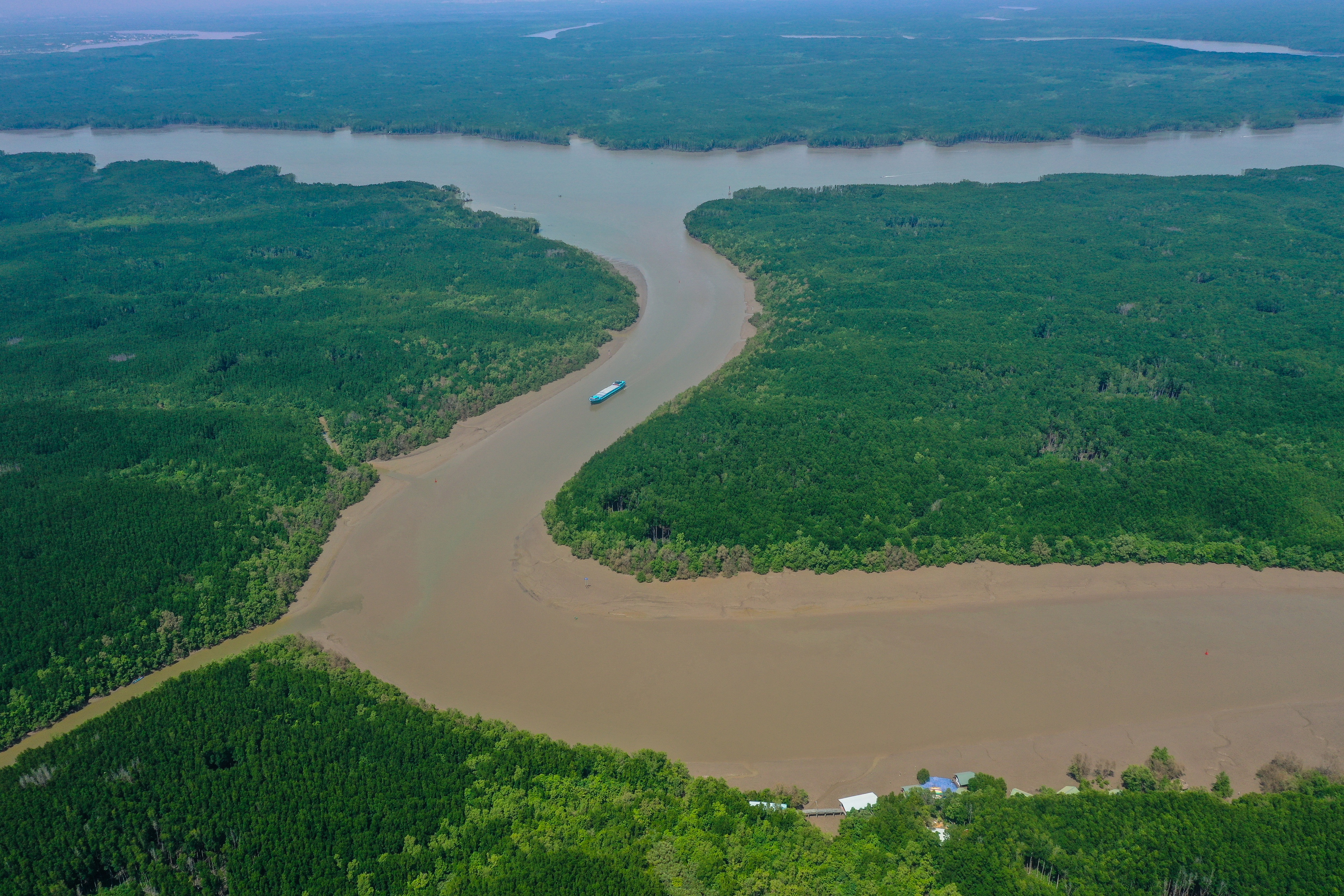 Cận cảnh rừng phòng hộ Cần Giờ được đề cử thành khu Ramsar thế giới