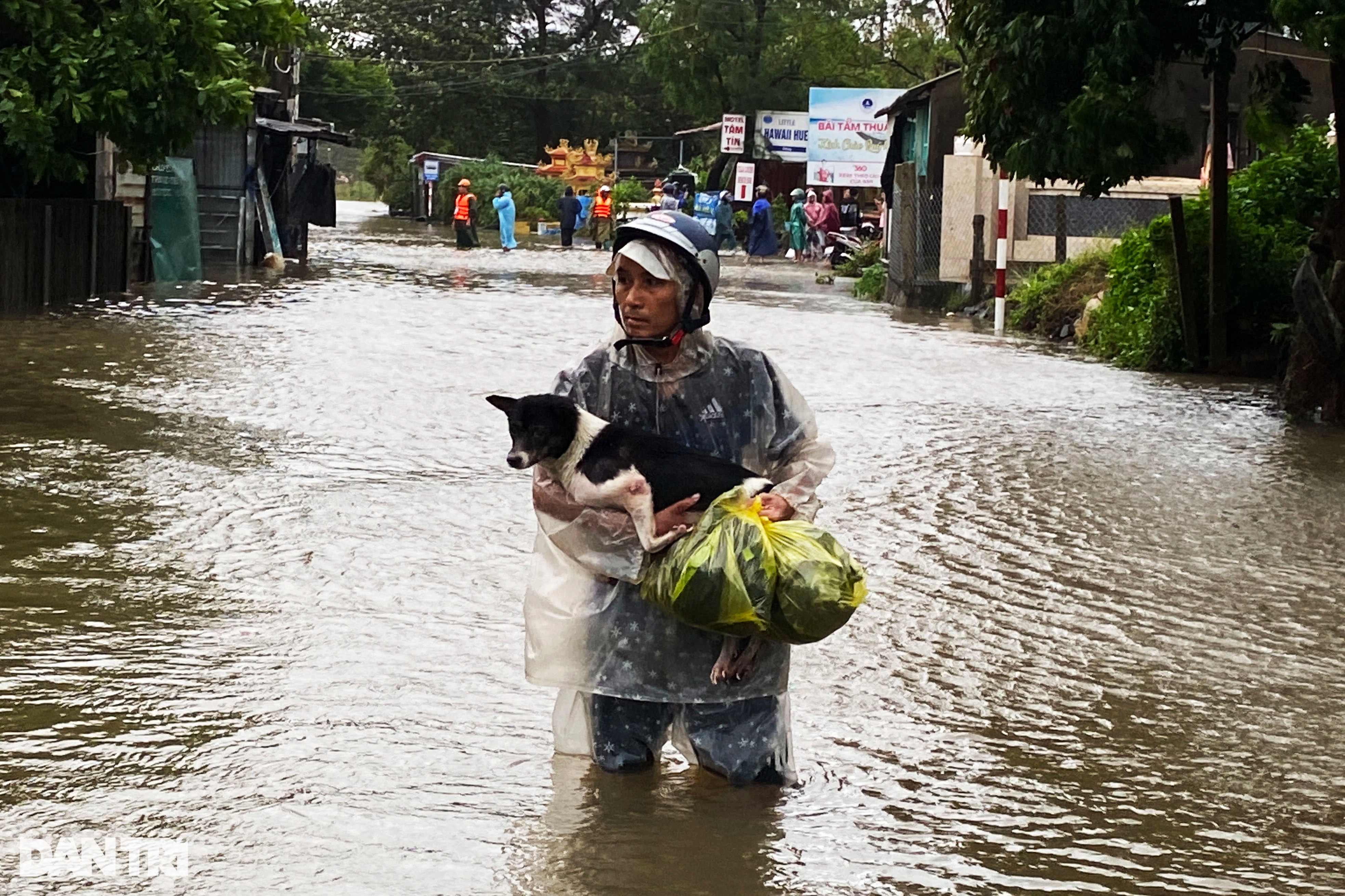 Nước biển tràn bờ gây ngập, người dân Huế ôm thú cưng hối hả chạy lũ