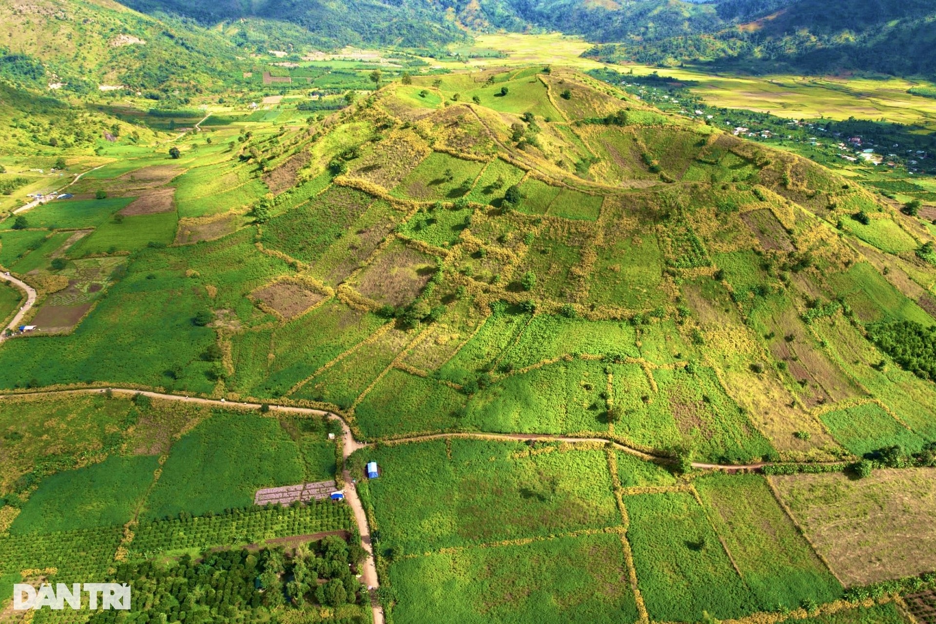 Gia Lai đề nghị tăng chuyến bay dịp lễ hội hoa dã quỳ