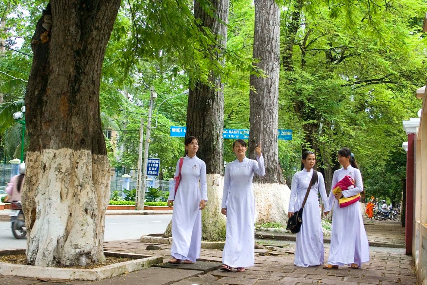 Thành phố trong lành nhất Việt Nam khó mở đường vì có nhiều cây cổ thụ