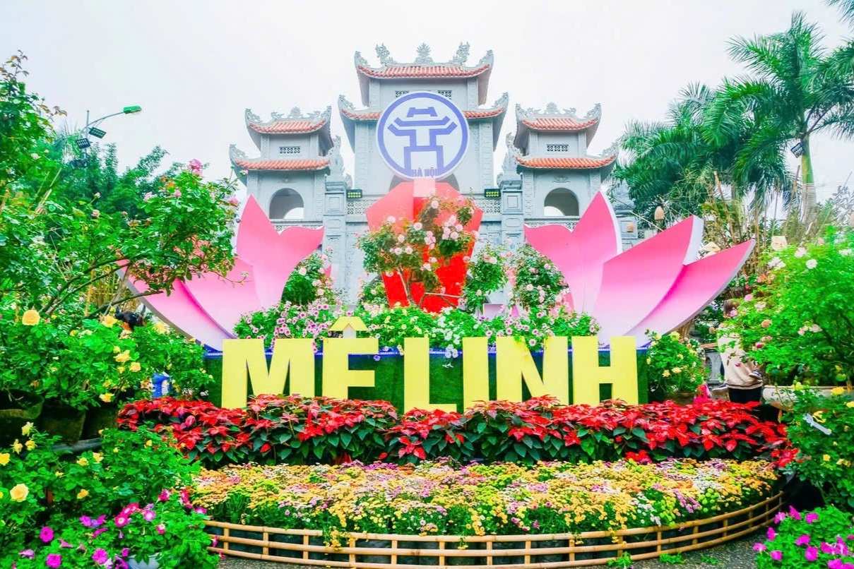 Festival hoa Mê Linh diễn ra trong 4 ngày