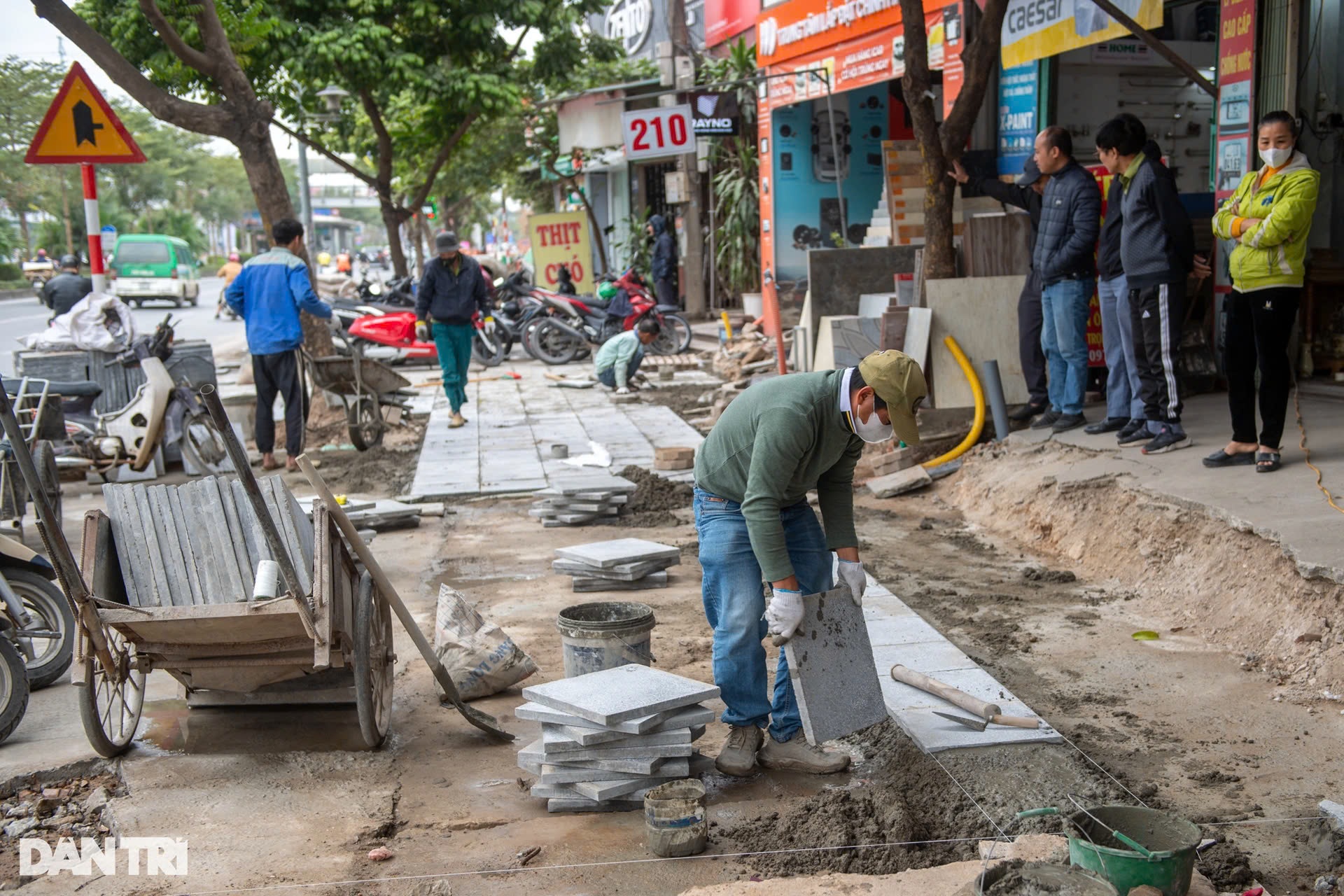 Vỉa hè Hà Nội và nỗi bức xúc "thấy đào là thấy Tết"