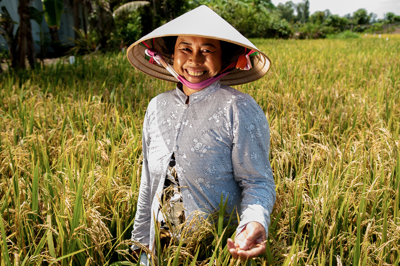 Ông Phan Văn Mãi: TPHCM sẽ giới thiệu doanh nghiệp lớn đầu tư tại ĐBSCL