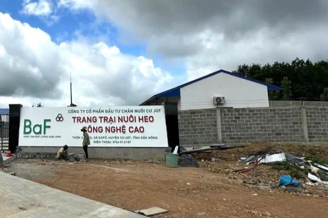 Trang trại lợn công nghệ cao bị phạt 355 triệu đồng