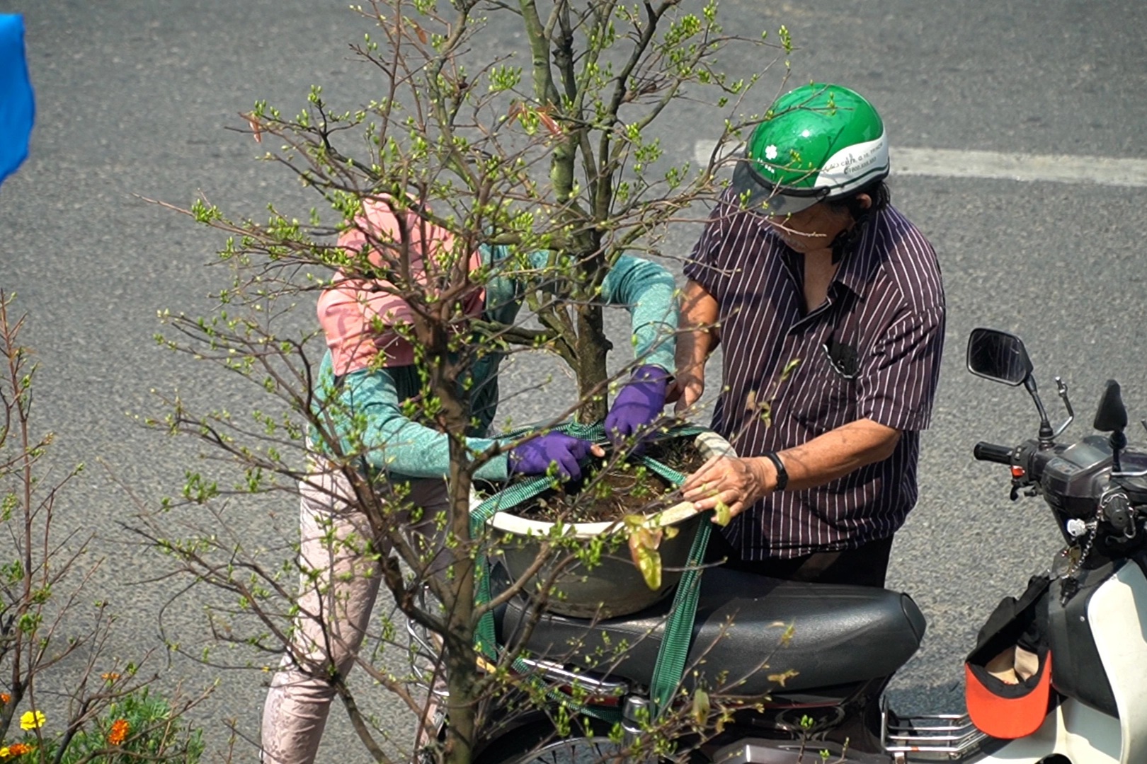 Chợ hoa xuân ở TPHCM nhộn nhịp ngày giáp Tết