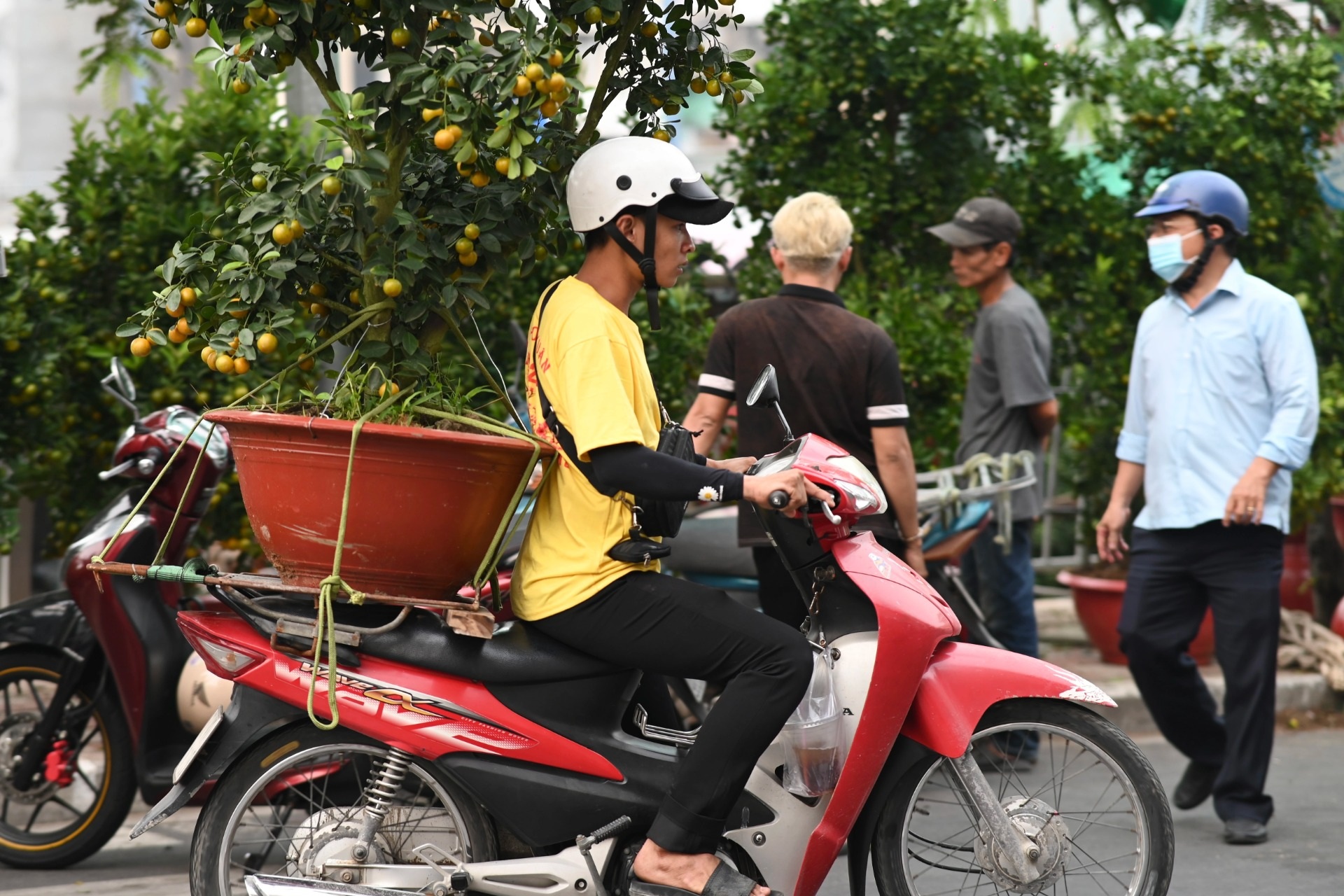 "Chở Tết" kiếm tiền triệu mỗi ngày ở TPHCM