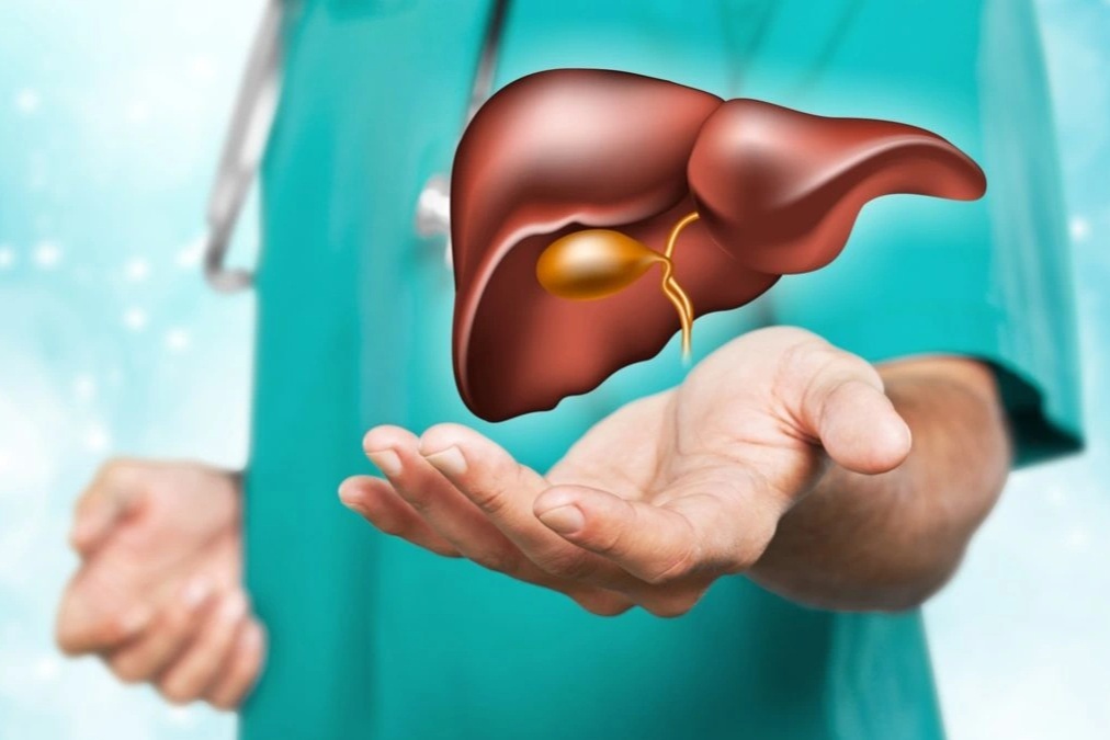 7 dấu hiệu cho thấy gan của bạn đang phục hồi