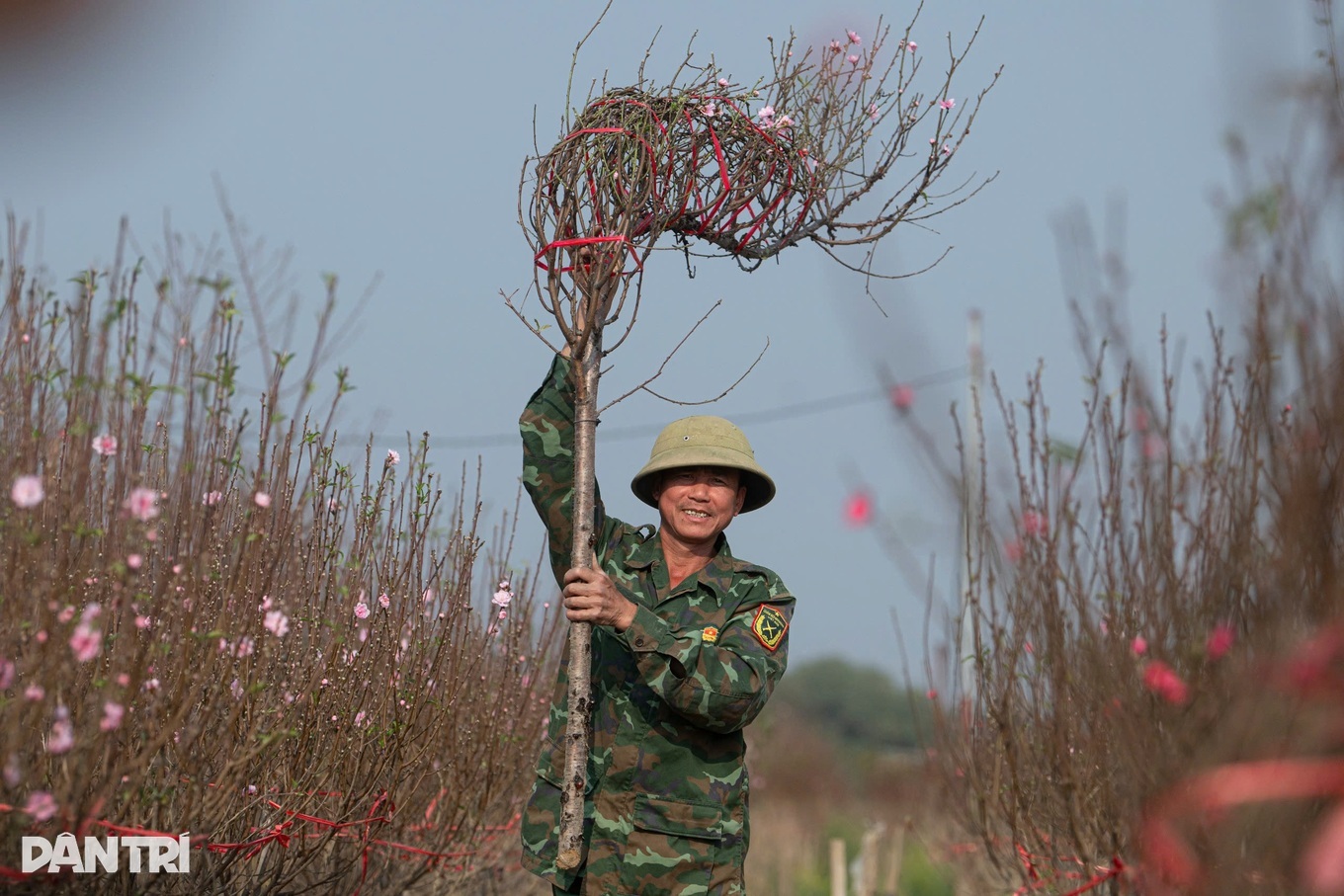 Miền Bắc trưa chiều trời nắng, rét buốt về đêm và sáng sớm