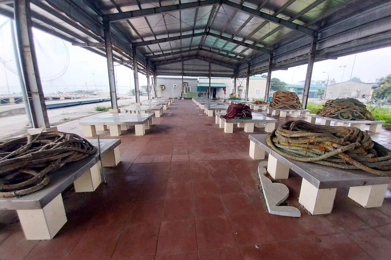 Được đầu tư hơn 100 tỷ đồng, cảng cá vẫn vắng tanh