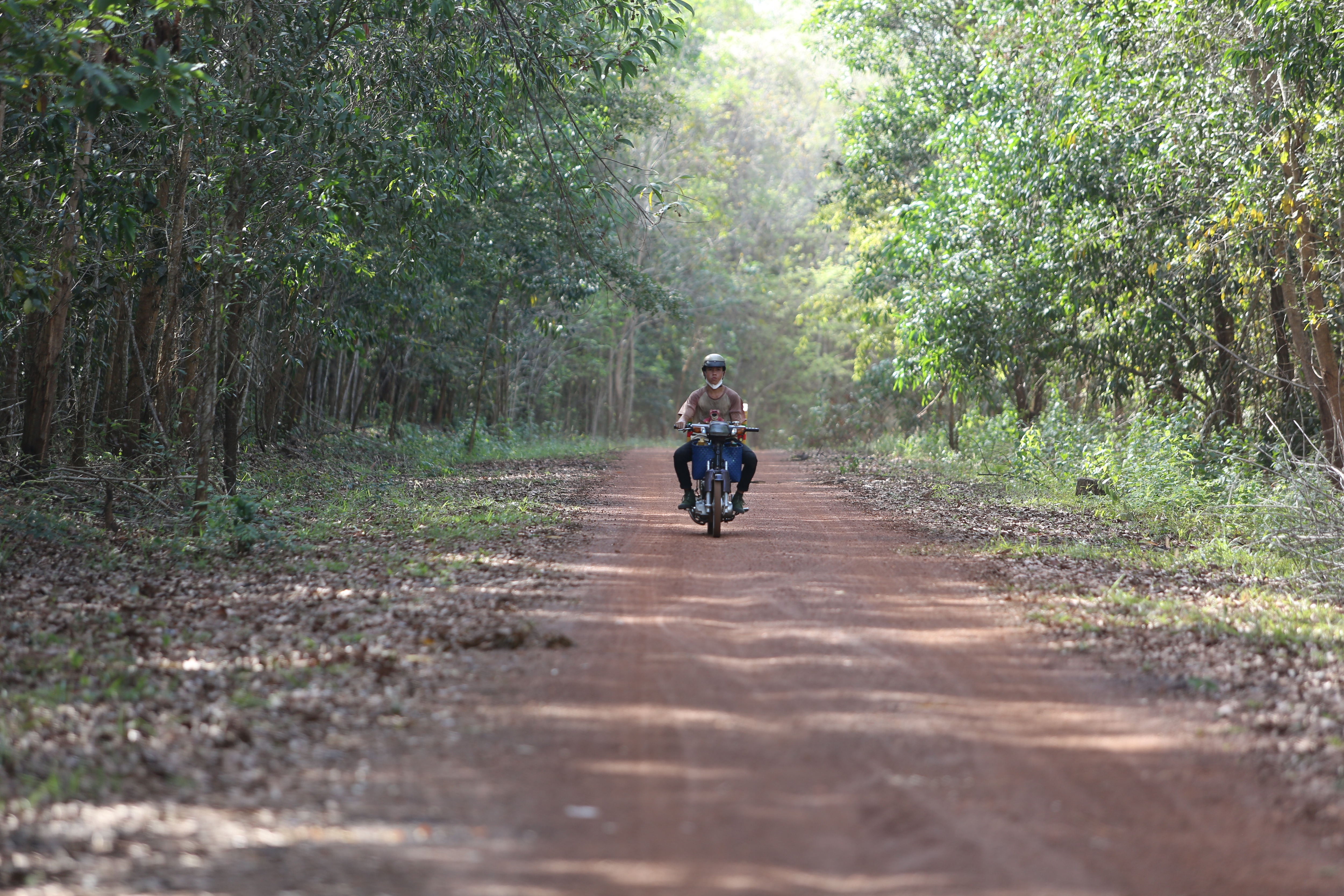 Đồng Nai điều chỉnh đường nối Tây Nguyên với Vành đai 4 TPHCM lên 6 làn xe