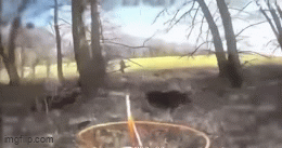 Chiến sự Ukraine 18/5: Nga thọc sâu, nhanh chóng tiến về Konstantinovka