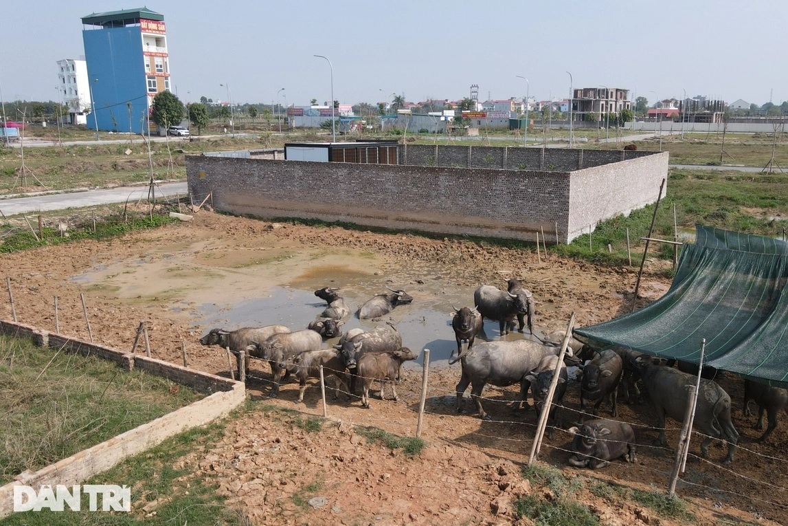 Hà Nội rà soát toàn bộ dự án có sử dụng đất từ thời điểm 2008