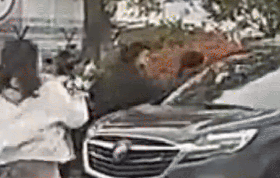 Cô gái cố lao vào ô tô để gặp thần tượng suýt gặp nạn