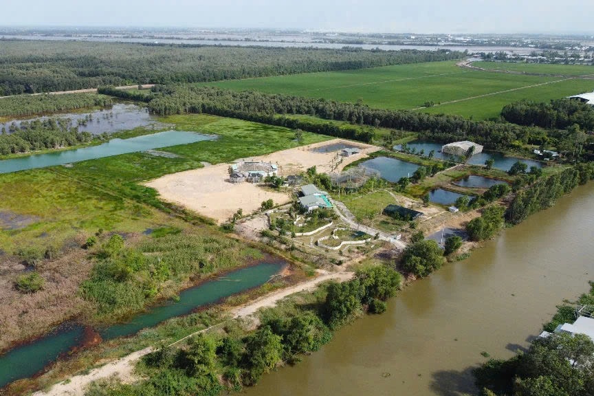 Đồng Tháp tiếp nhận 6 cá thể sếu đầu đỏ từ Thái Lan