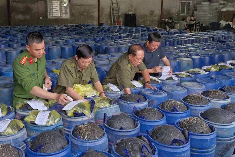 3.500 tấn giá đỗ ngâm "nước kẹo" được bán ra thị trường ở Nghệ An