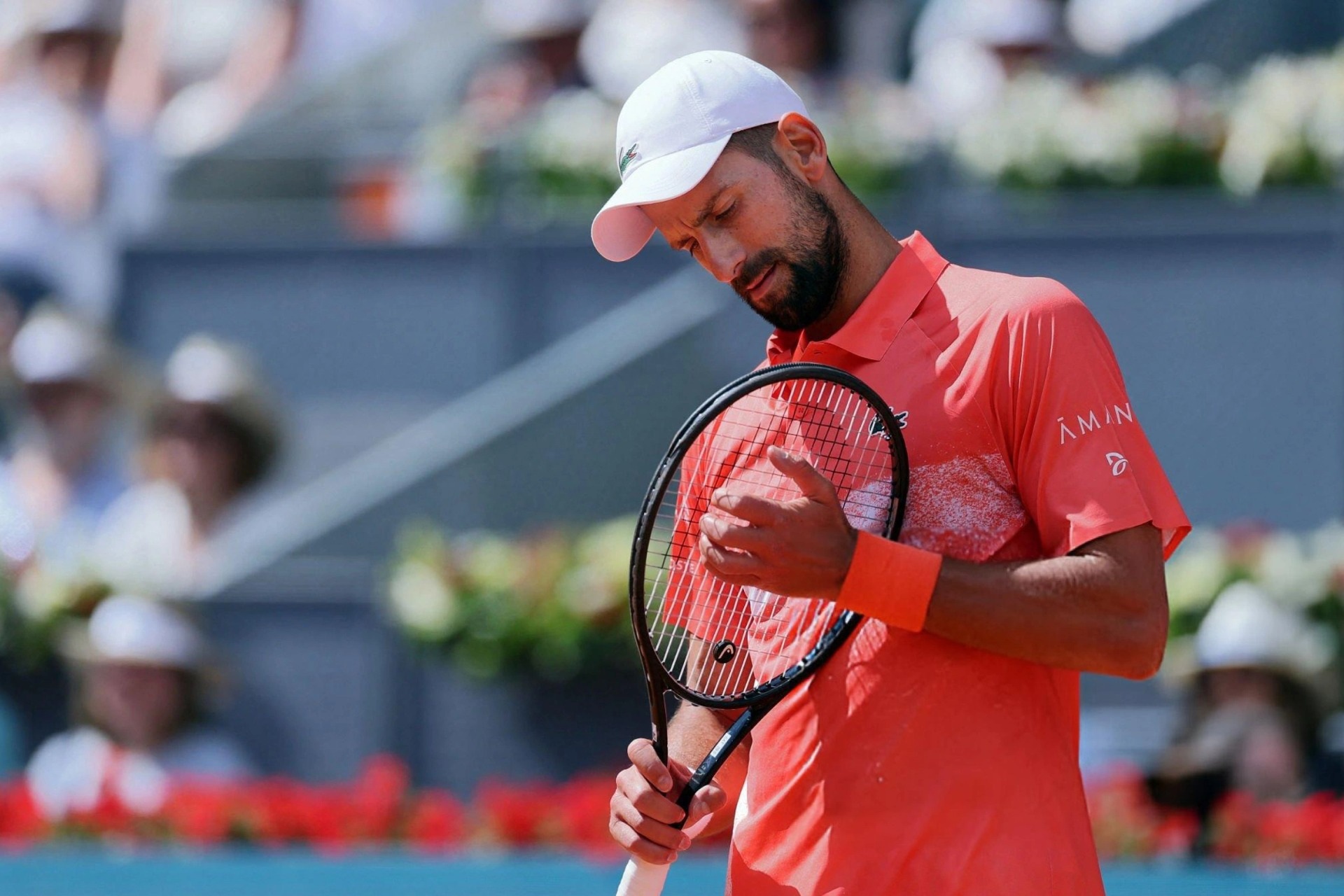 Djokovic bất ngờ tuyên bố bỏ giải Italian Open