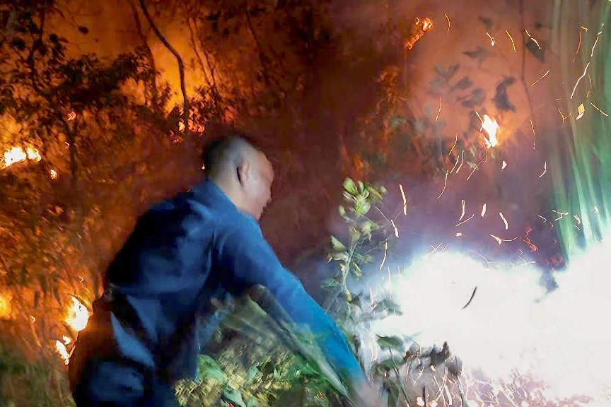 Rừng thông 3 lá ở Lâm Đồng bốc cháy