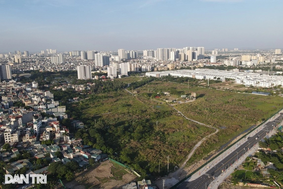 Biến đất trồng lúa thành đất ở sẽ bị phạt tới 400 triệu đồng