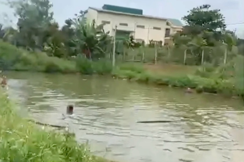 Hai học sinh tiểu học tử vong tại ao chứa nước tưới cà phê