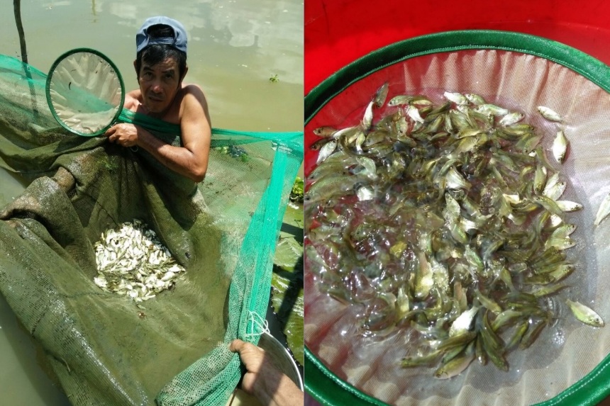 Thanh tra "mổ xẻ" các đề tài khoa học được chi gần 5 tỷ đồng