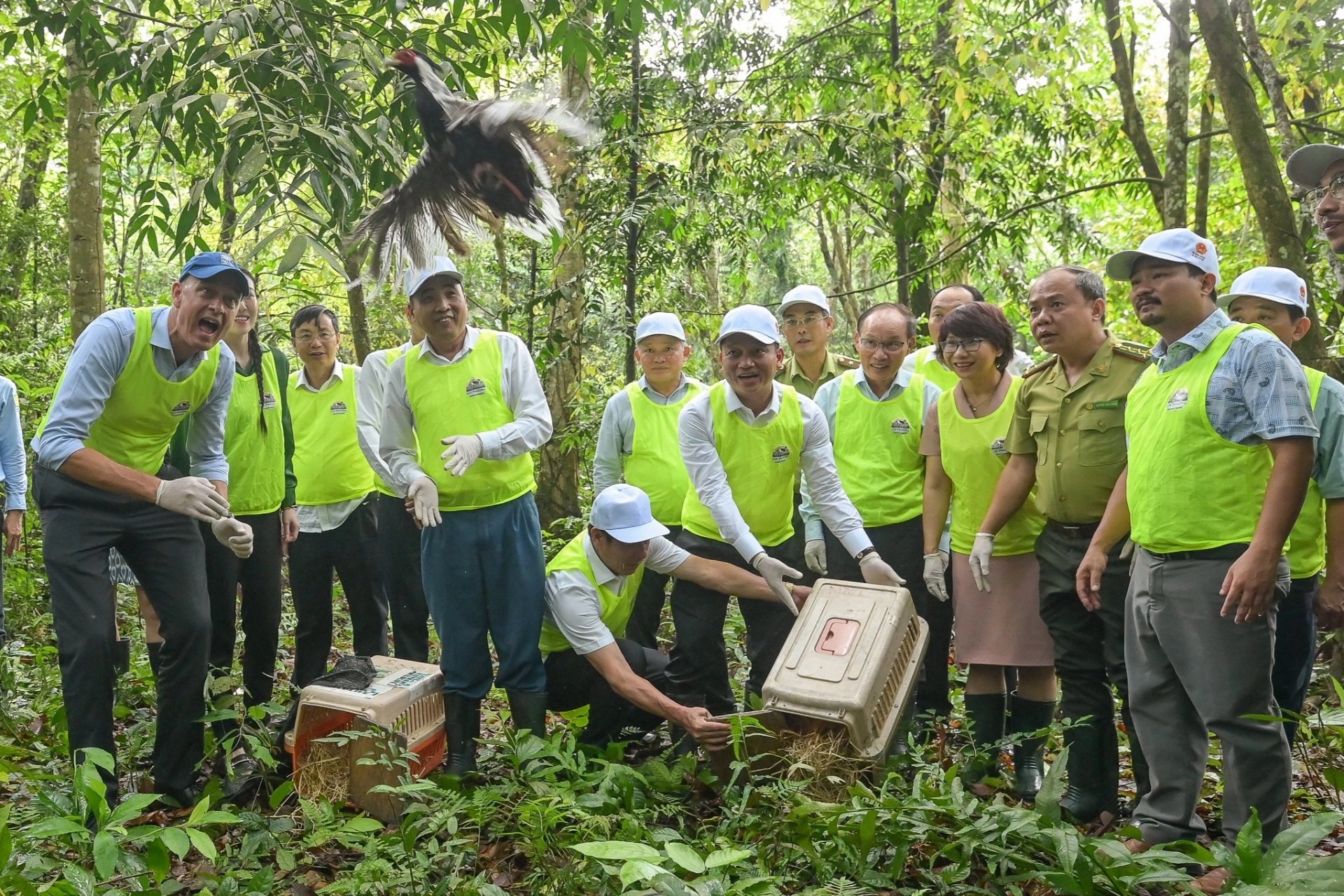 Sống hài hòa với thiên nhiên và phát triển bền vững