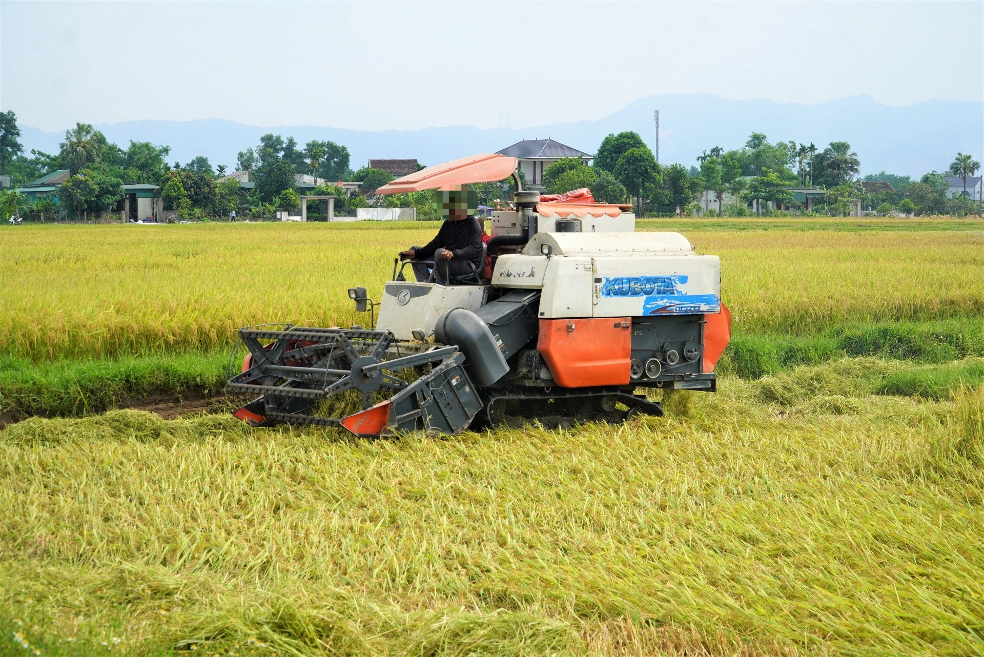 Thêm một người dân ở Hà Tĩnh bị sét đánh tử vong