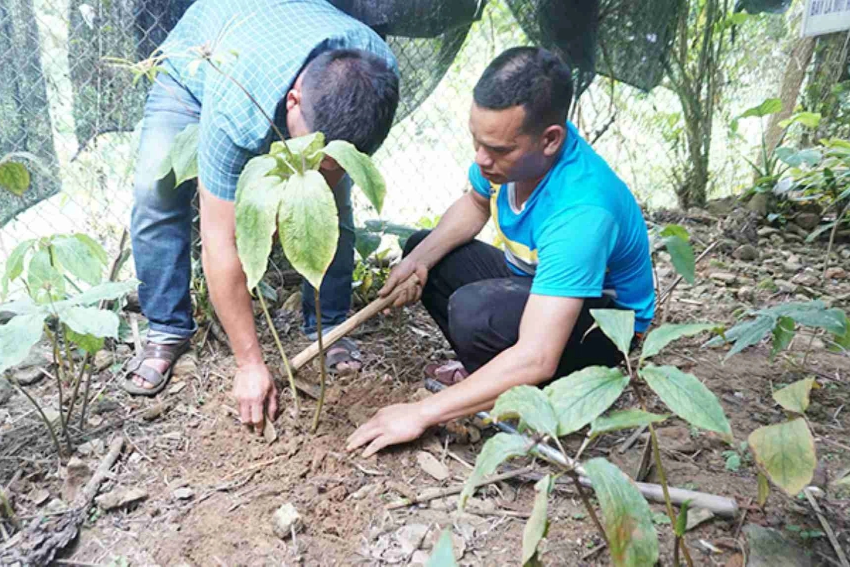 Hai đề tài khoa học tiền tỷ bị điều tra: Thất bại do thời tiết?