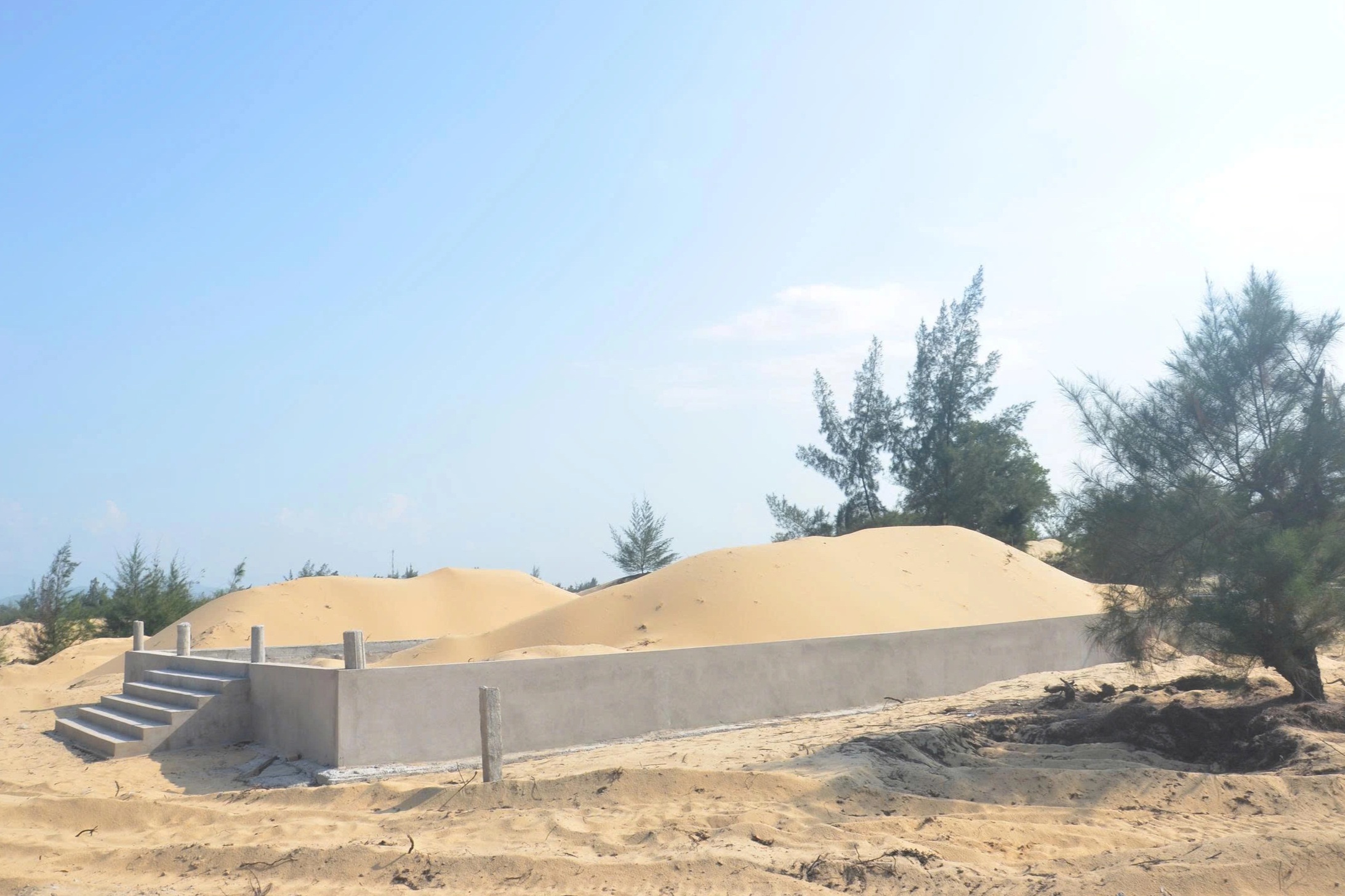 Hiện tượng lạ ở khu rừng phòng hộ ven biển trước thời điểm sáp nhập