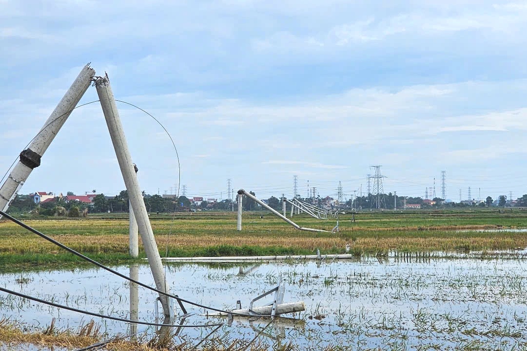 Vụ hàng loạt trụ điện gãy đôi: Gần 500 khách hàng bị ảnh hưởng